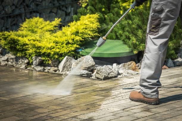 Best Pre-Holiday Cleaning  in Grove Hill, AL