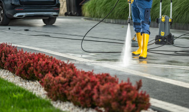 Professional Pressure Washing in Grove Hill, AL